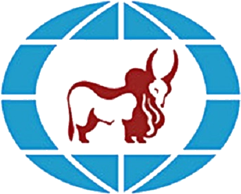 IndusInd Bank logo